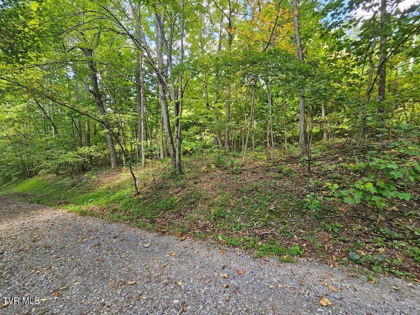 Photo #5: Lot 7 Wildflower Way 