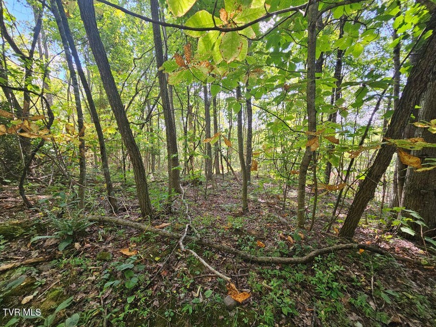 Photo #6: Lot 7 Wildflower Way 