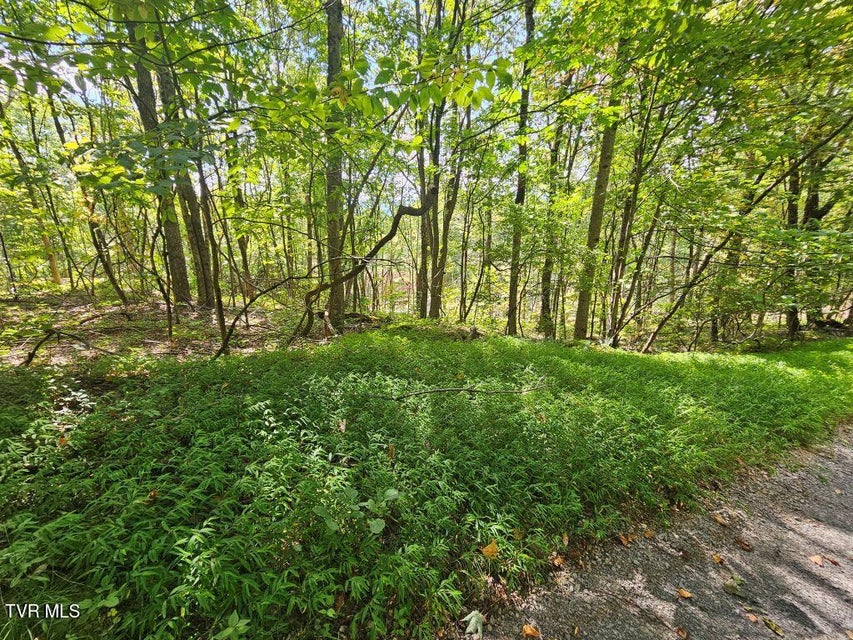 Photo #7: Lot 7 Wildflower Way 