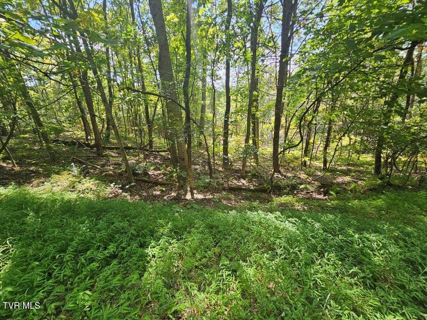 Photo #8: Lot 7 Wildflower Way 