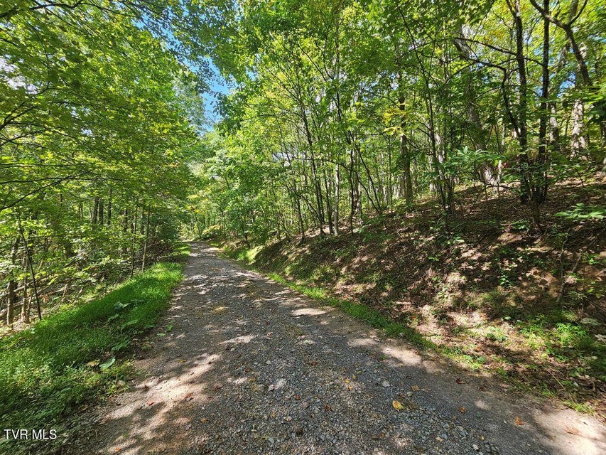 Photo #9: Lot 7 Wildflower Way 