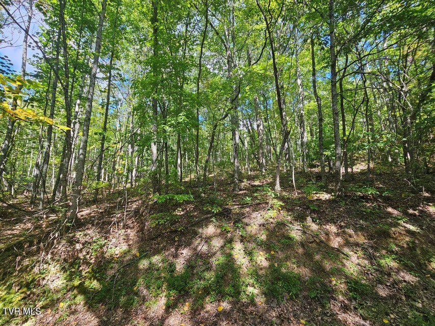 Photo #10: Lot 7 Wildflower Way 