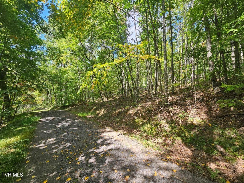 Photo #11: Lot 7 Wildflower Way 