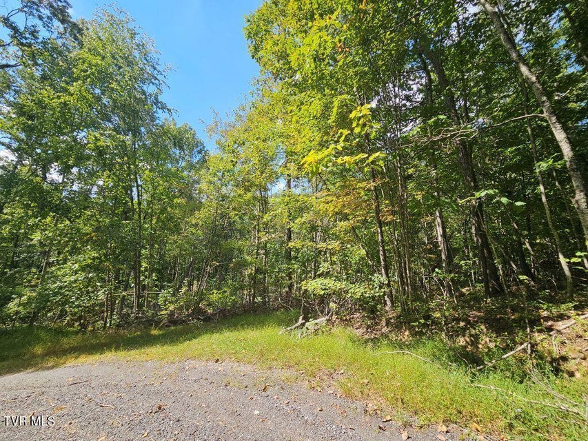 Photo #12: Lot 7 Wildflower Way 