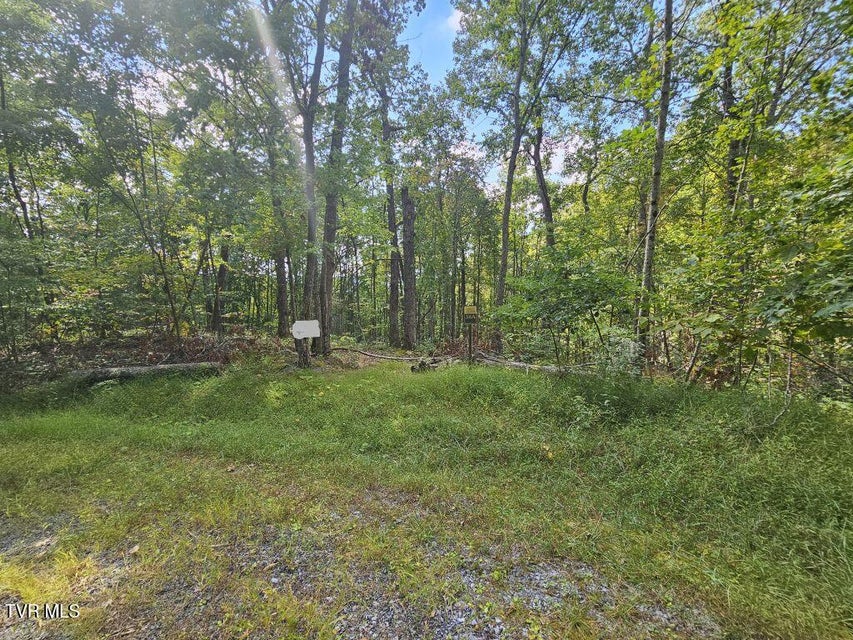 Photo #13: Lot 7 Wildflower Way 