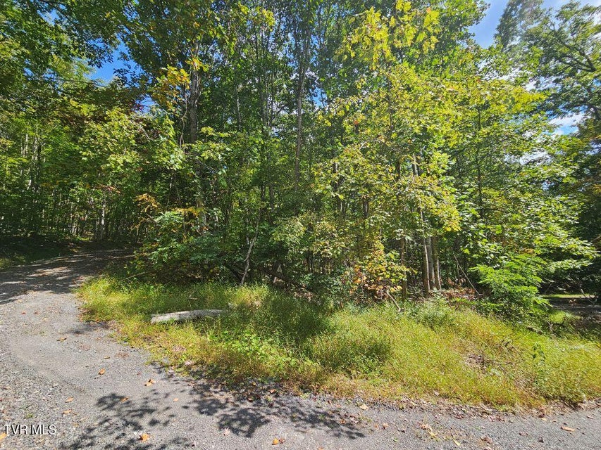 Photo #14: Lot 7 Wildflower Way 