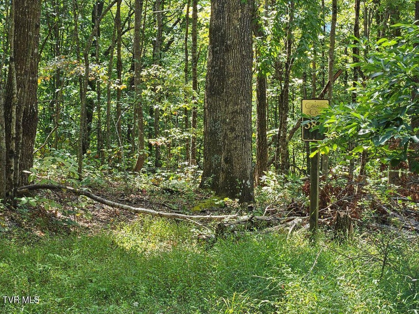 Photo #16: Lot 7 Wildflower Way 