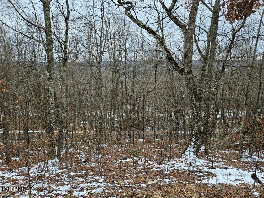 Photo #19: Lot 7 Wildflower Way 