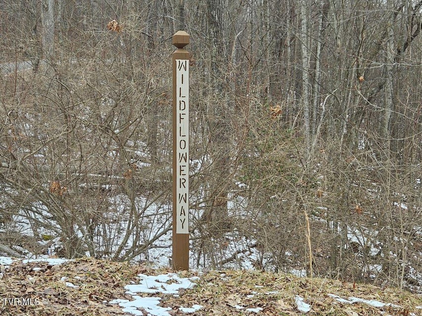 Photo #20: Lot 7 Wildflower Way 