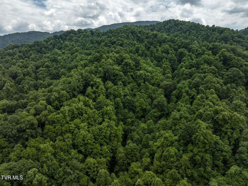 Photo #2: Tbd Whitehead Hollow Road