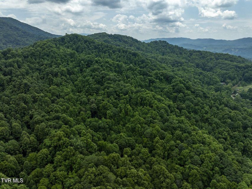 Photo #3: Tbd Whitehead Hollow Road