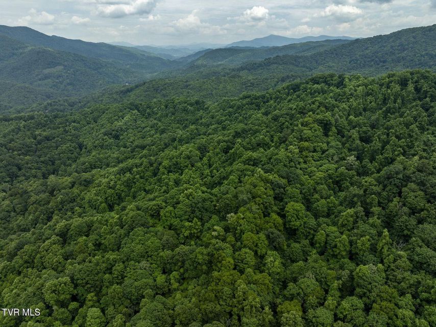 Photo #4: Tbd Whitehead Hollow Road