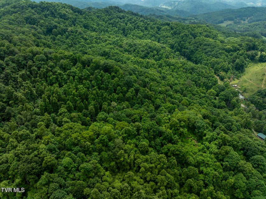 Photo #5: Tbd Whitehead Hollow Road