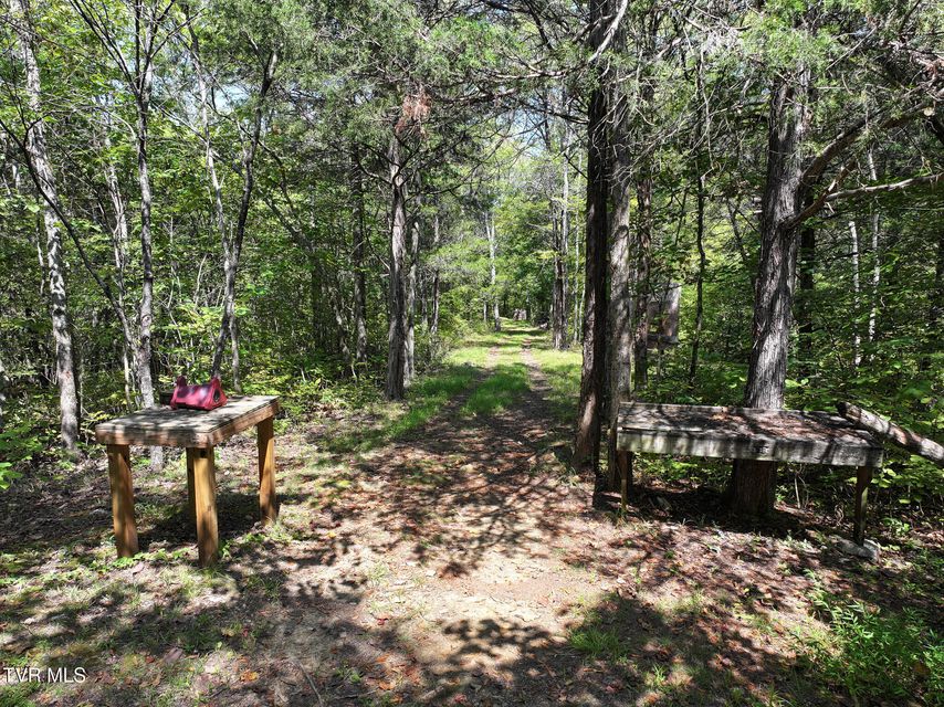 Photo #46: 1005 Jackson Hollow Road