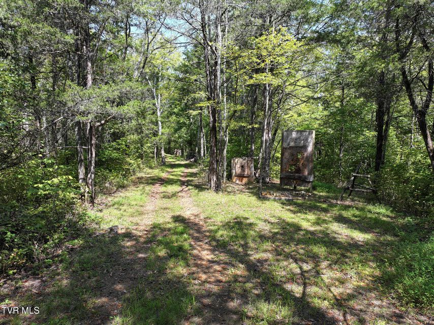 Photo #47: 1005 Jackson Hollow Road