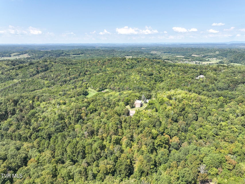 Photo #51: 1005 Jackson Hollow Road