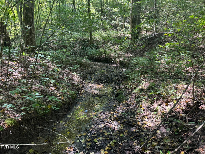 Photo #55: 1005 Jackson Hollow Road