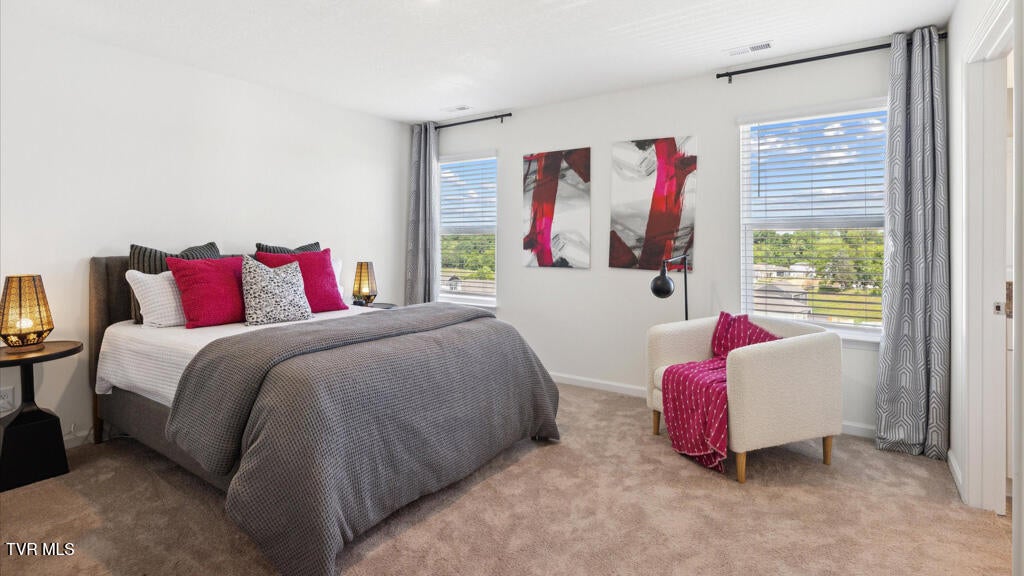 Photo #19: 1308 Carrberry Court 
