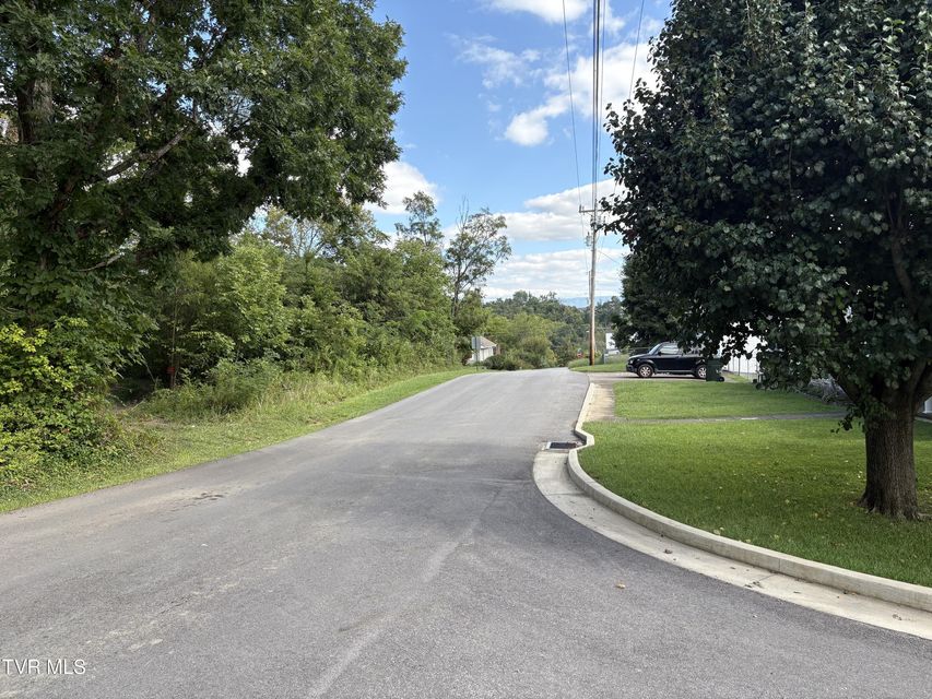 Photo #2: 1.20 Ac Sevier Avenue