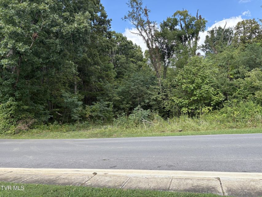 Photo #3: 1.20 Ac Sevier Avenue