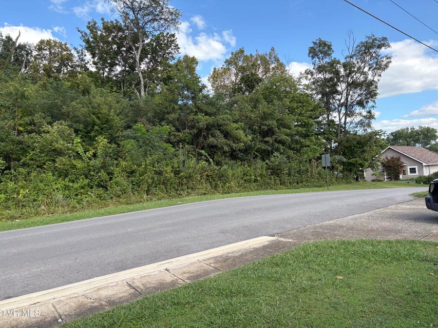 Photo #4: 1.20 Ac Sevier Avenue