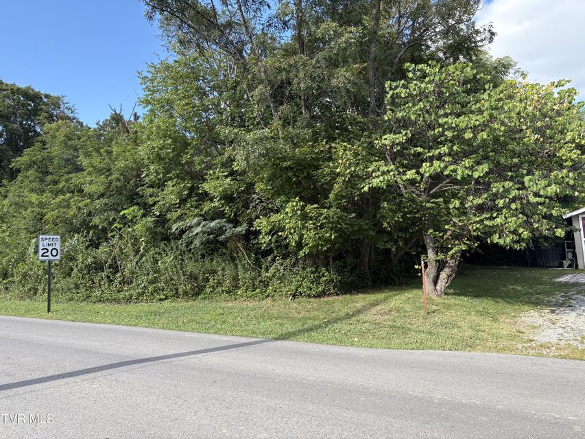 Photo #6: 1.20 Ac Sevier Avenue