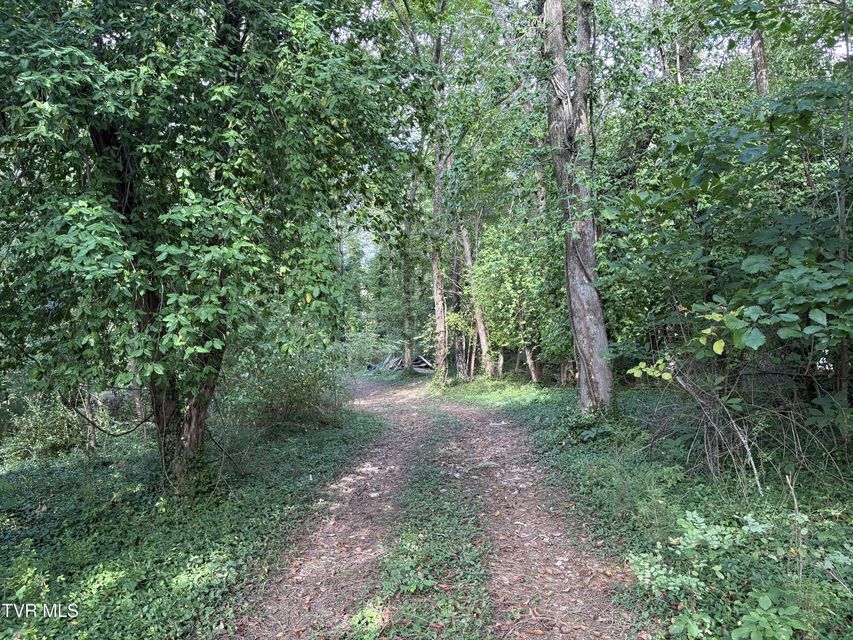 Photo #8: 1.20 Ac Sevier Avenue