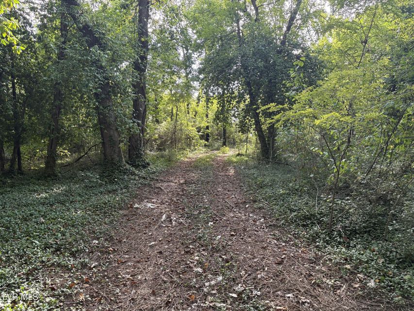 Photo #9: 1.20 Ac Sevier Avenue