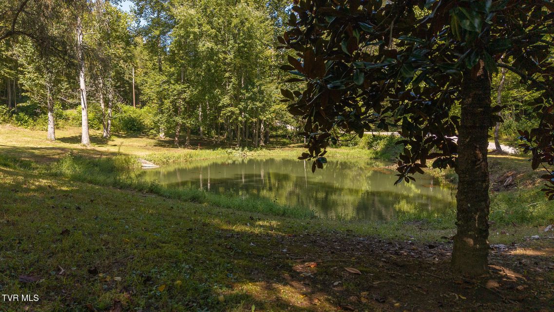 Photo #4: 997 Miller Hollow Road