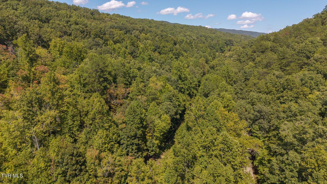 Photo #6: 997 Miller Hollow Road