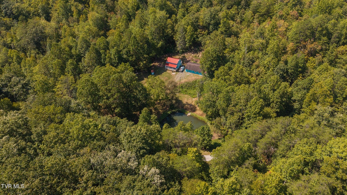 Photo #8: 997 Miller Hollow Road