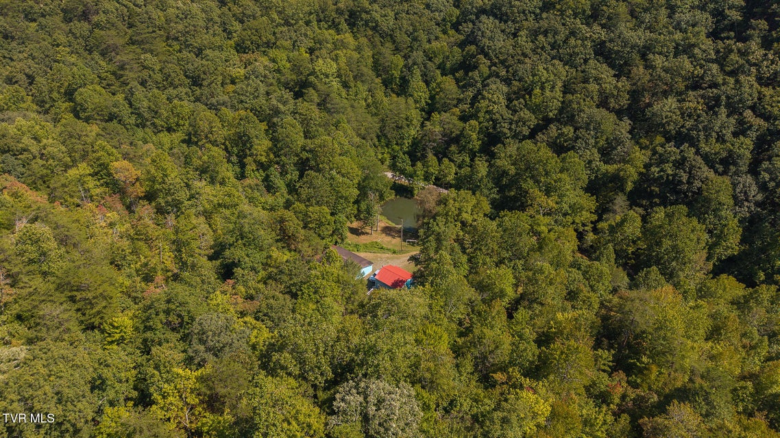 Photo #9: 997 Miller Hollow Road