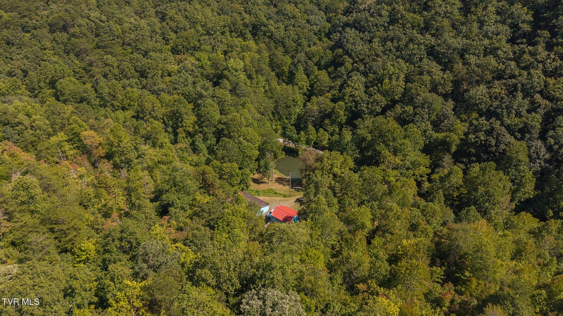 Photo #10: 997 Miller Hollow Road