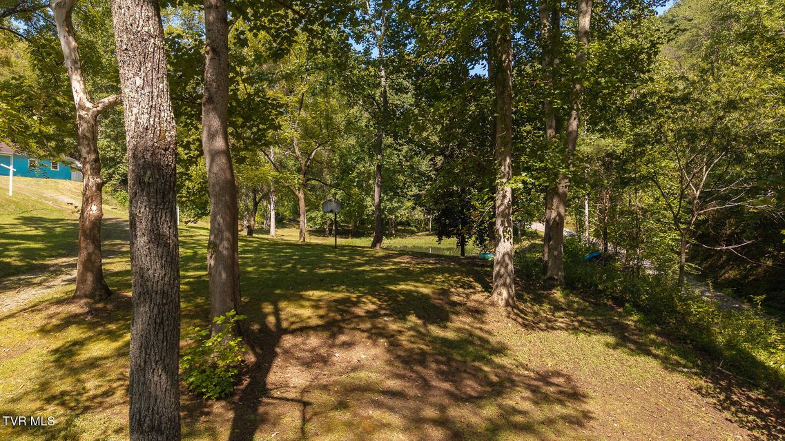 Photo #14: 997 Miller Hollow Road