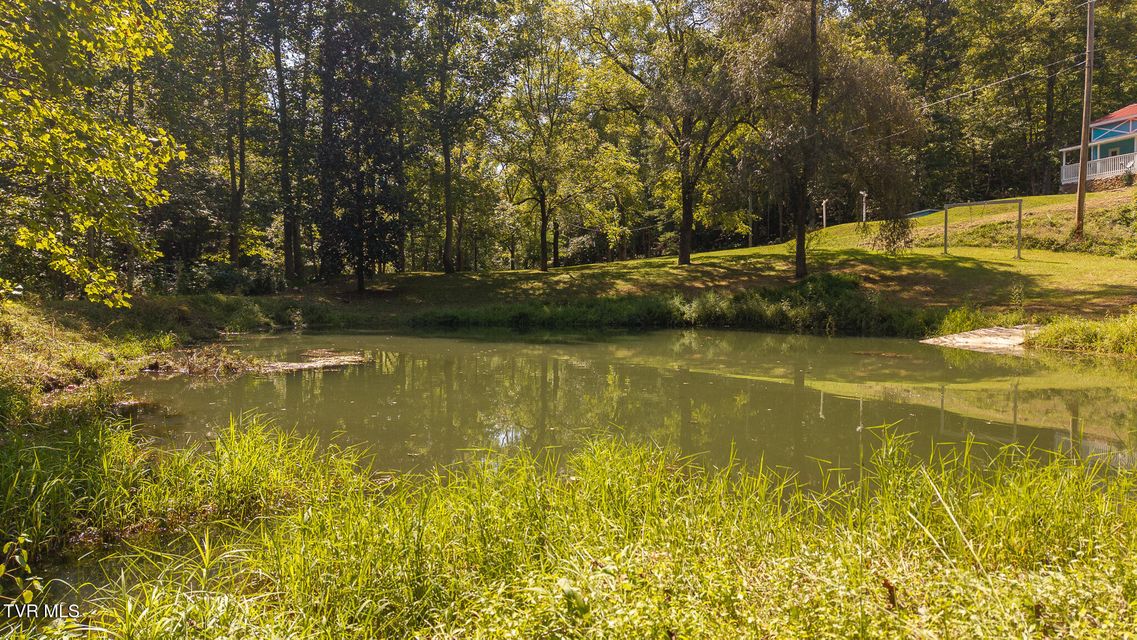 Photo #16: 997 Miller Hollow Road