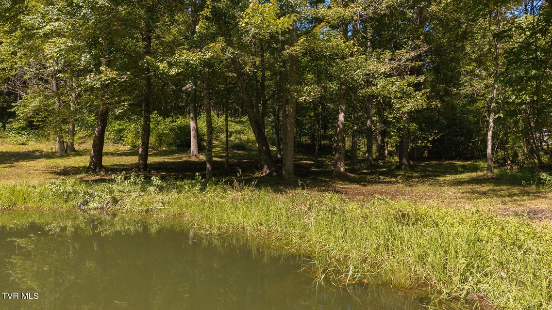 Photo #19: 997 Miller Hollow Road