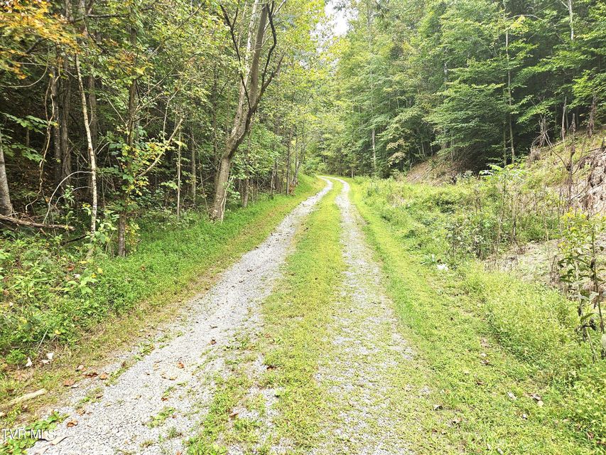 Photo #2: 1741 Burem Road
