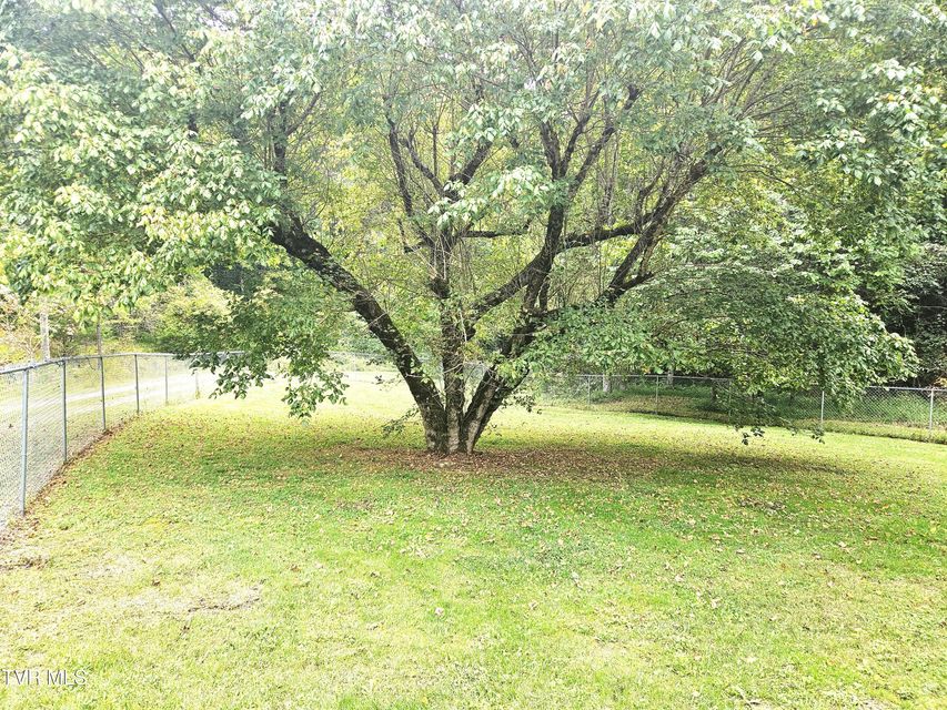 Photo #7: 1741 Burem Road