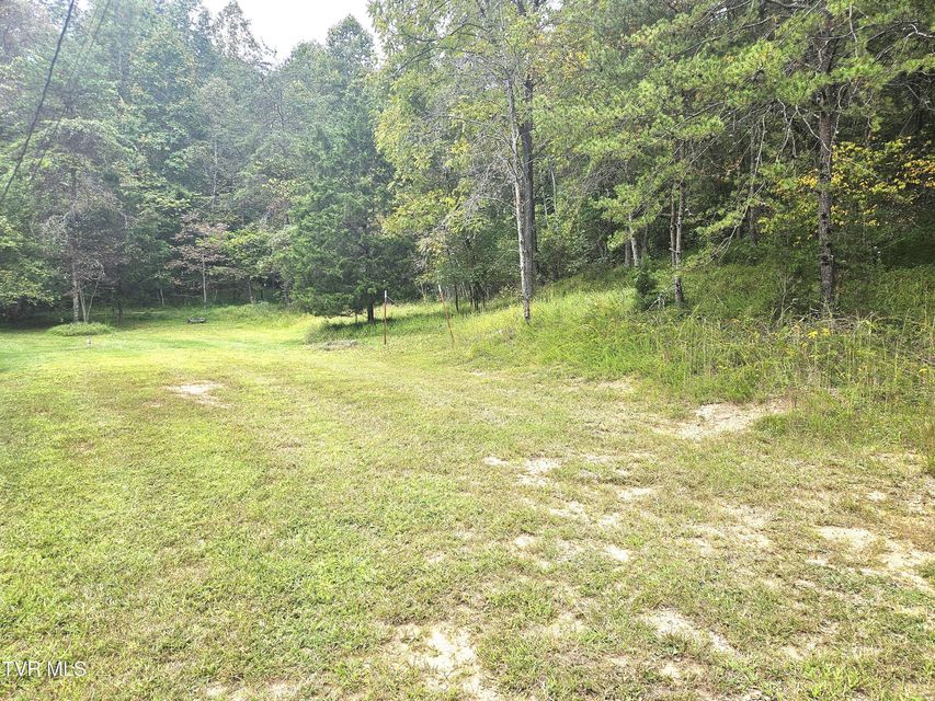 Photo #17: 1741 Burem Road