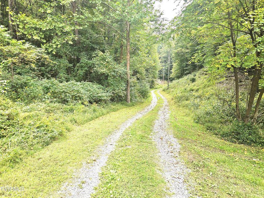 Photo #37: 1741 Burem Road