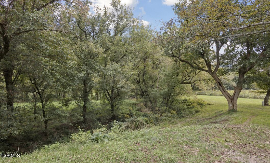 Photo #34: 630 Artrip Road
