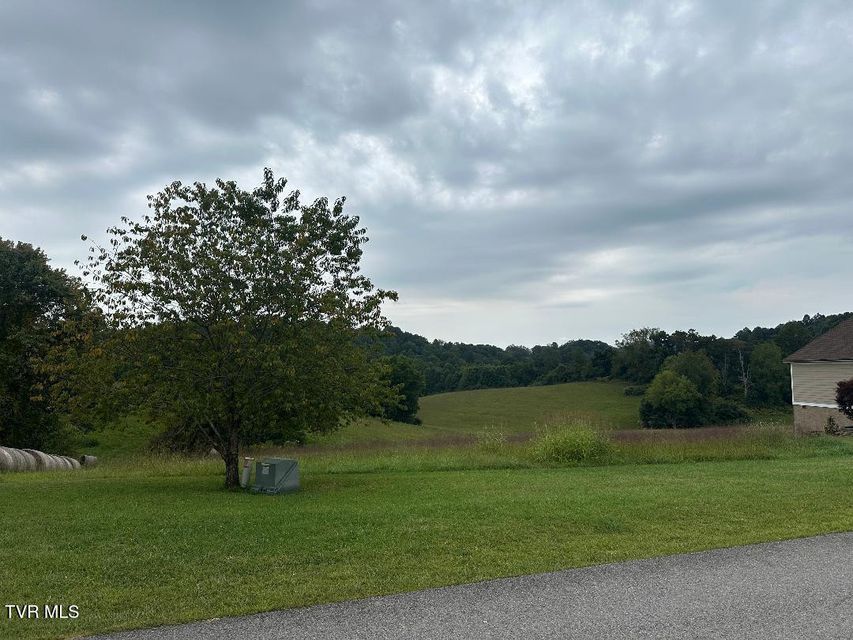 Photo #2: Tbd Walton Ridge Road