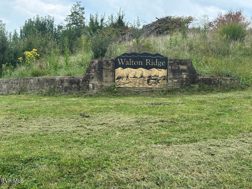 Photo #3: Tbd Walton Ridge Road
