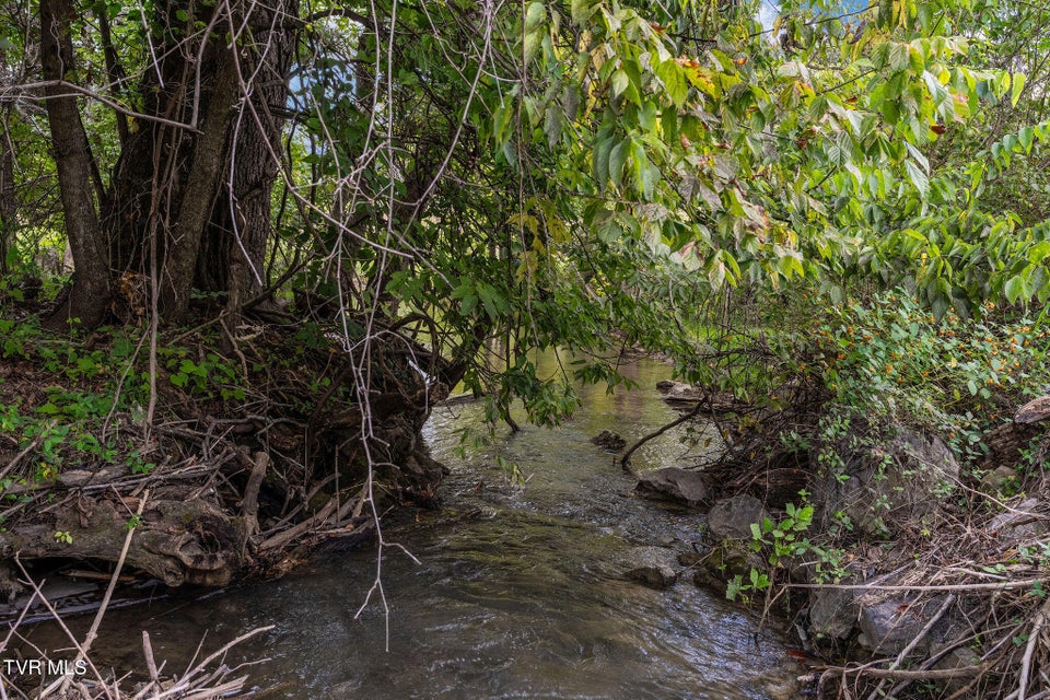 Photo #24: 370 Roy Martin Road