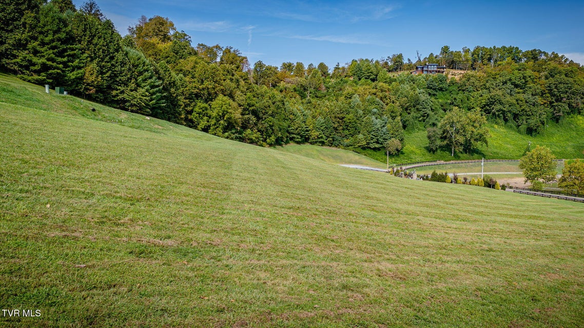 Photo #7: Lot 17 Cowan Town Road