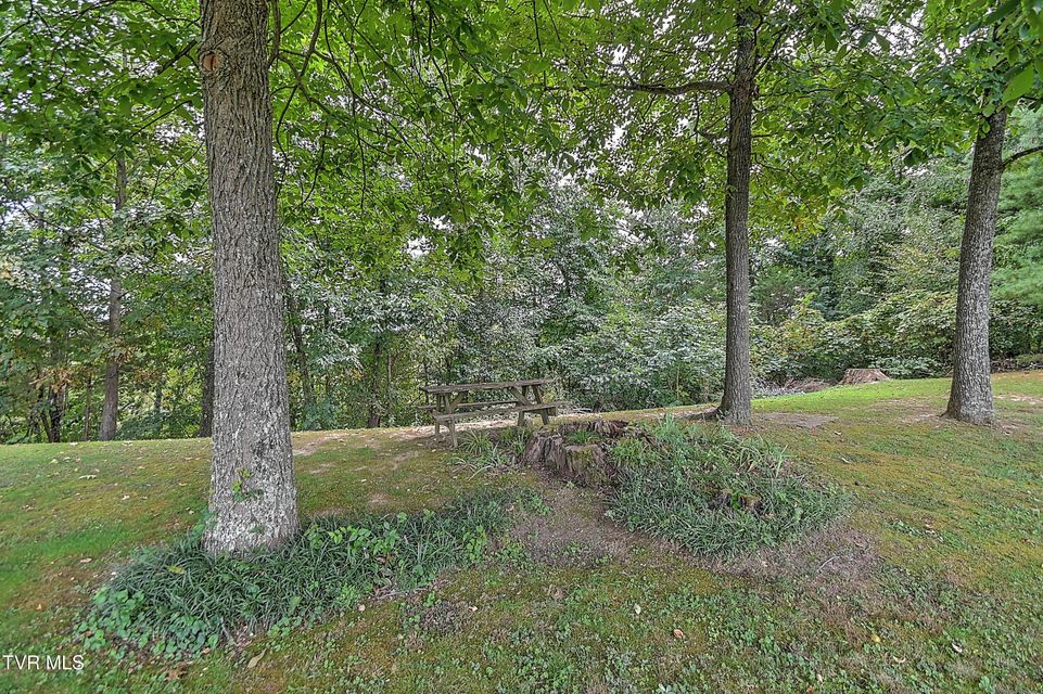 Photo #46: 513 Woodmere Drive