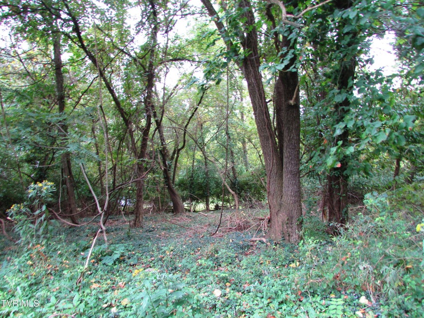 Photo #14: 700 Riverside Drive