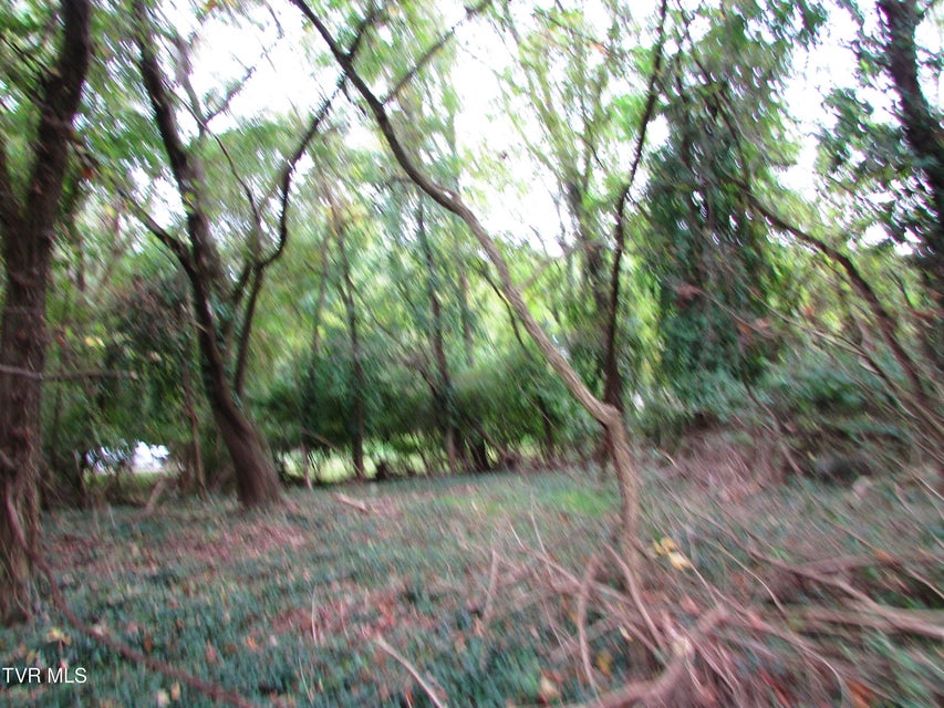 Photo #16: 700 Riverside Drive