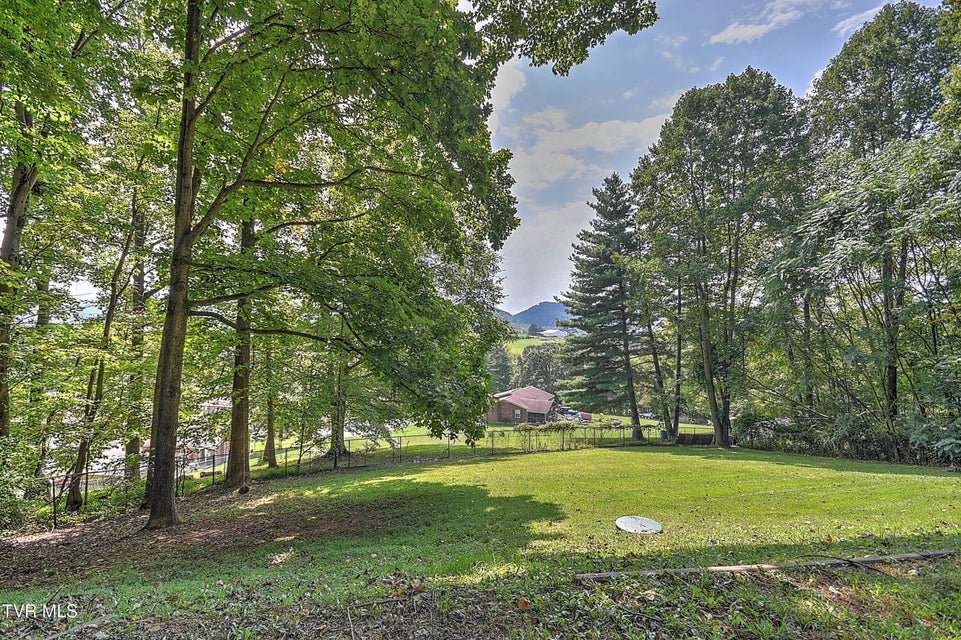 Photo #46: 377 Carlton Road