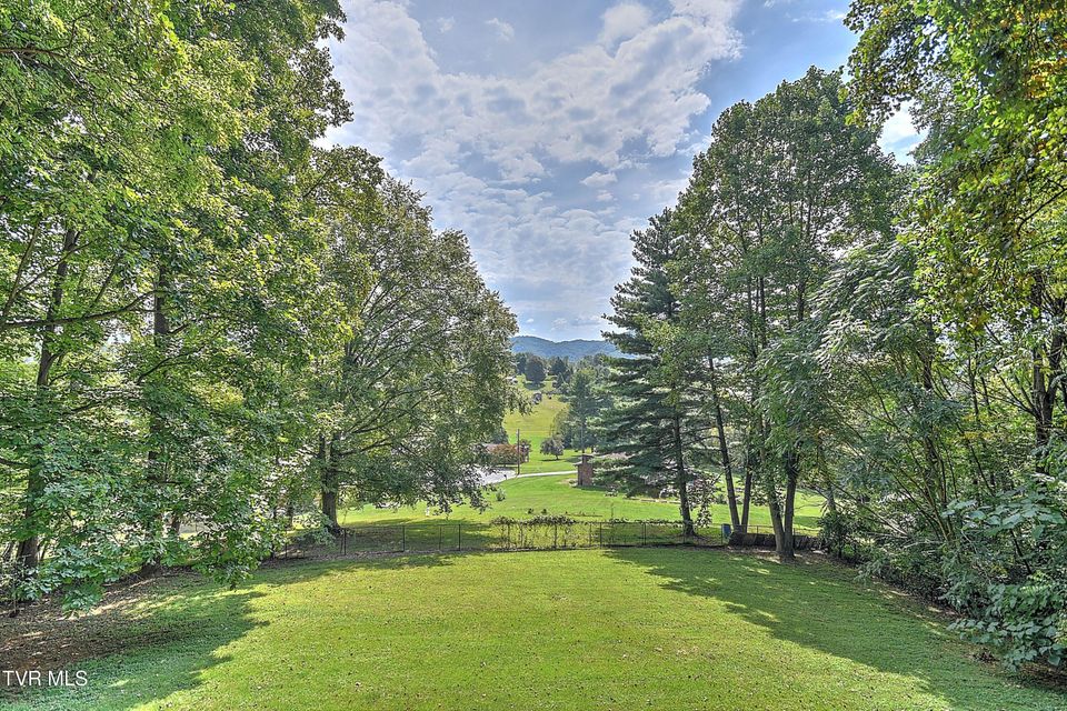 Photo #51: 377 Carlton Road